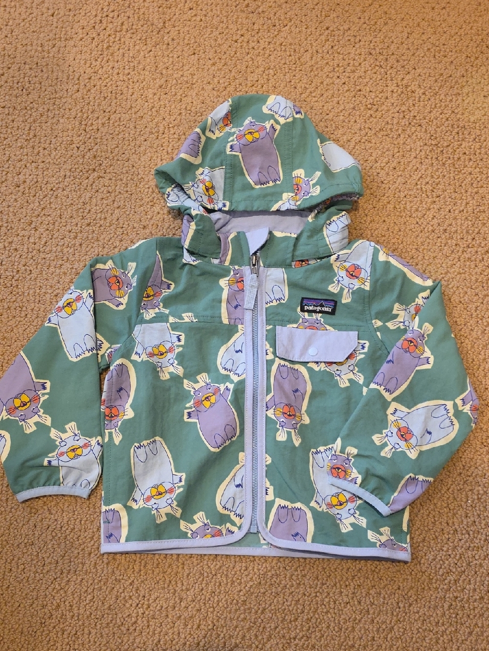 NWT, Patagonia Hooded Jacket